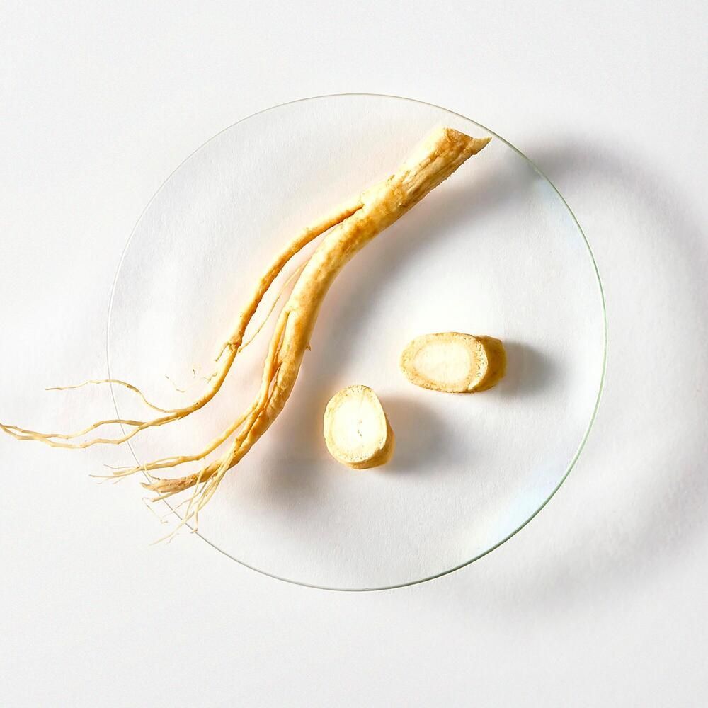 Racine de ginseng et deux tranches sur une coupelle en verre. Racine avec racines et deux tranches. Sur fond blanc.