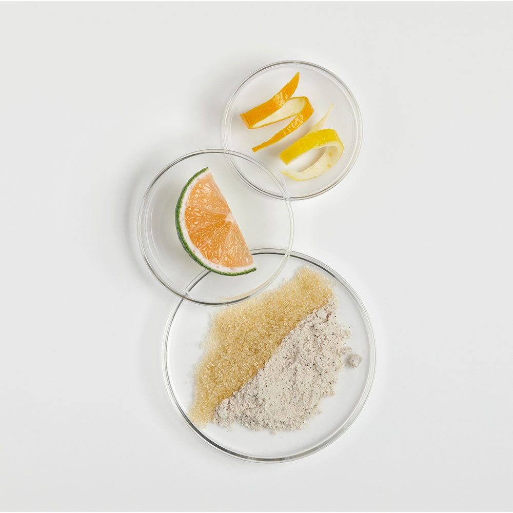 Trois boîtes de Pétri avec agrumes : zeste d'orange, zeste de citron, quartier d'orange.