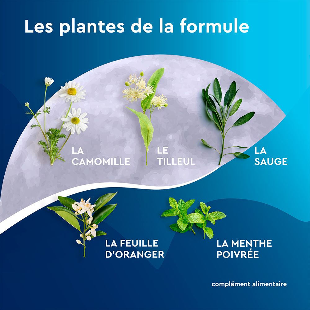Plantes de la formule: Camomille, Tilleul, Sauge, Feuille d'oranger, Menthe poivrée. Texte: Les plantes de la formule.