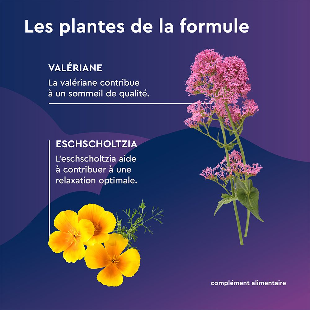 Graphique avec plantes: Valériane et Eschscholtzia. Texte: Valériane, Eschscholtzia. Complément alimentaire.