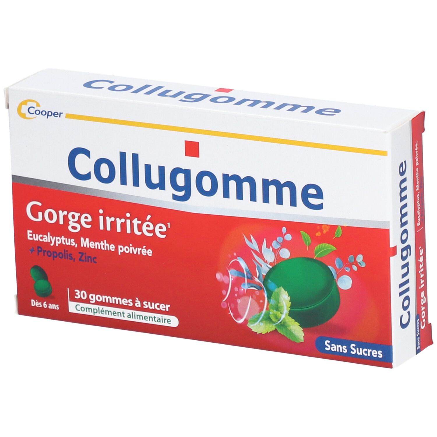 Collugomme Pate 30 Gomme