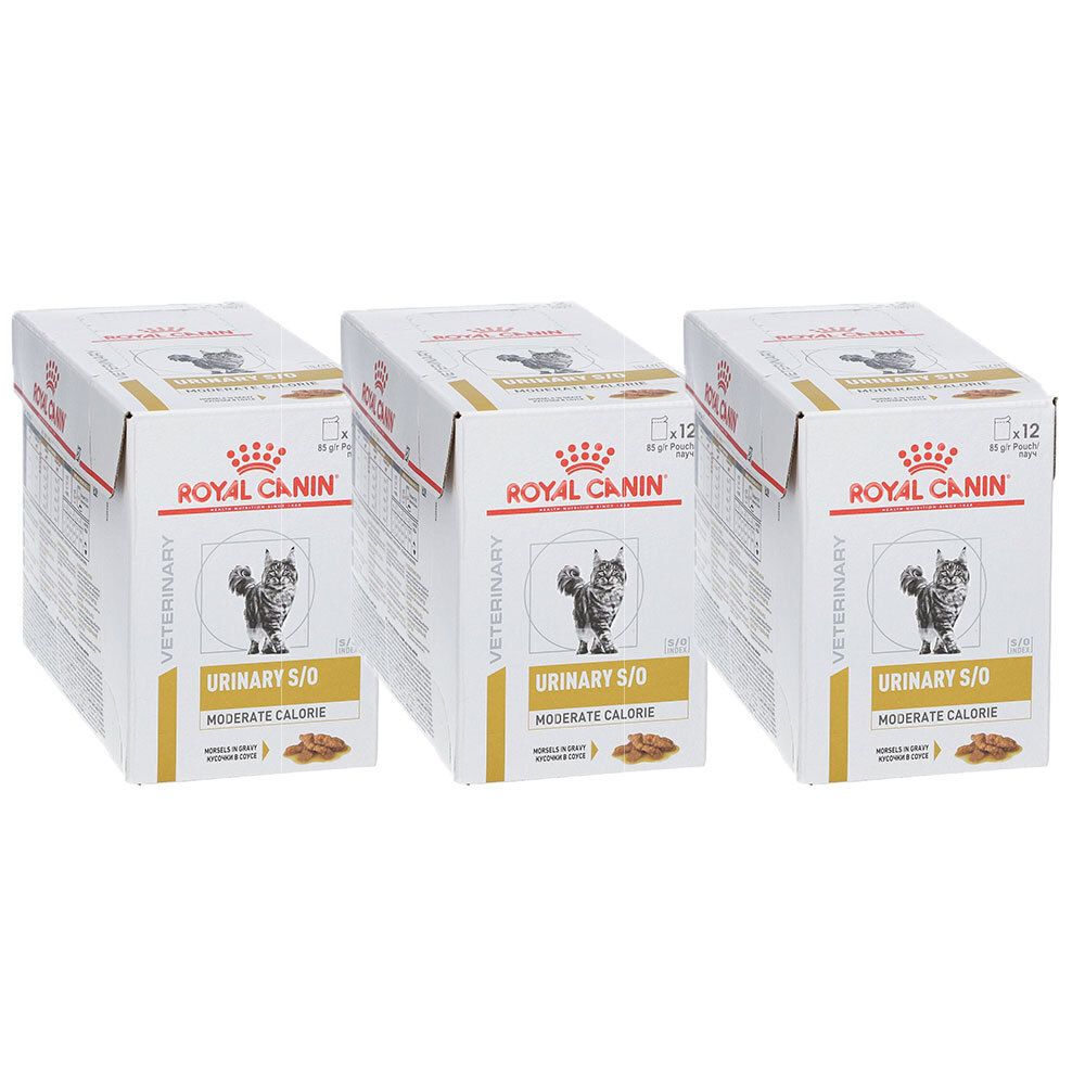 Trois boîtes ROYAL CANIN® Urinary S/O Moderate Calorie. Blanches, avec logo, chat et informations.