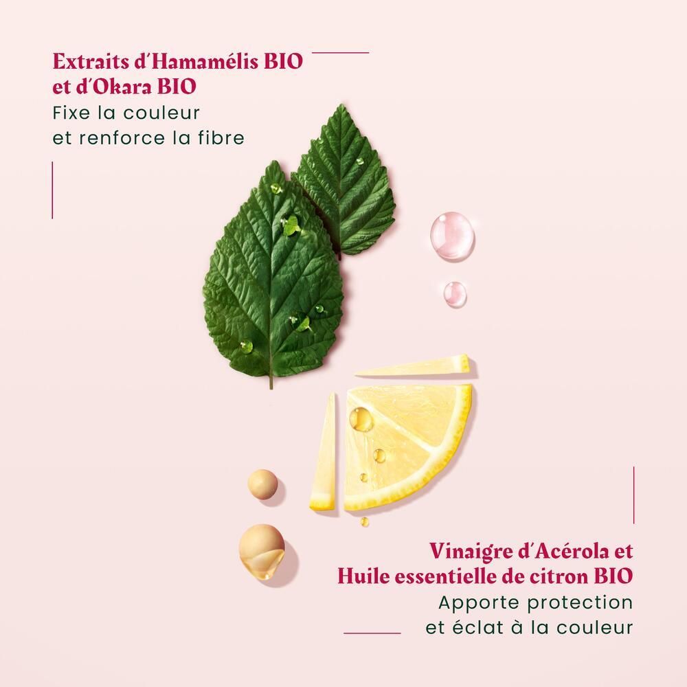Graphique avec ingrédients: Extraits d'Hamamélis BIO et d'Okara BIO, vinaigre d'Acérola et citron, citron.