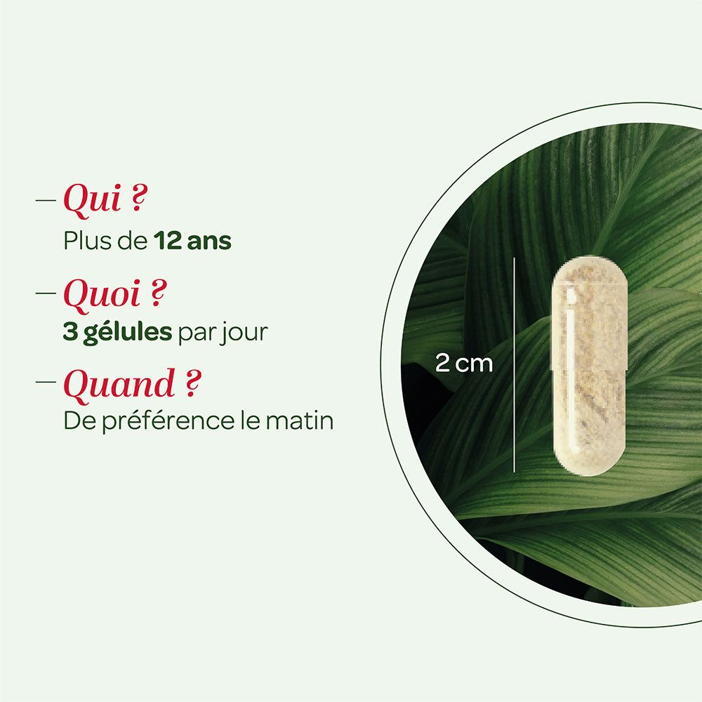 Gélule à côté du texte: 'Qui? Plus de 12 ans. Quoi? 3 gélules par jour. Quand? De préférence le matin'.