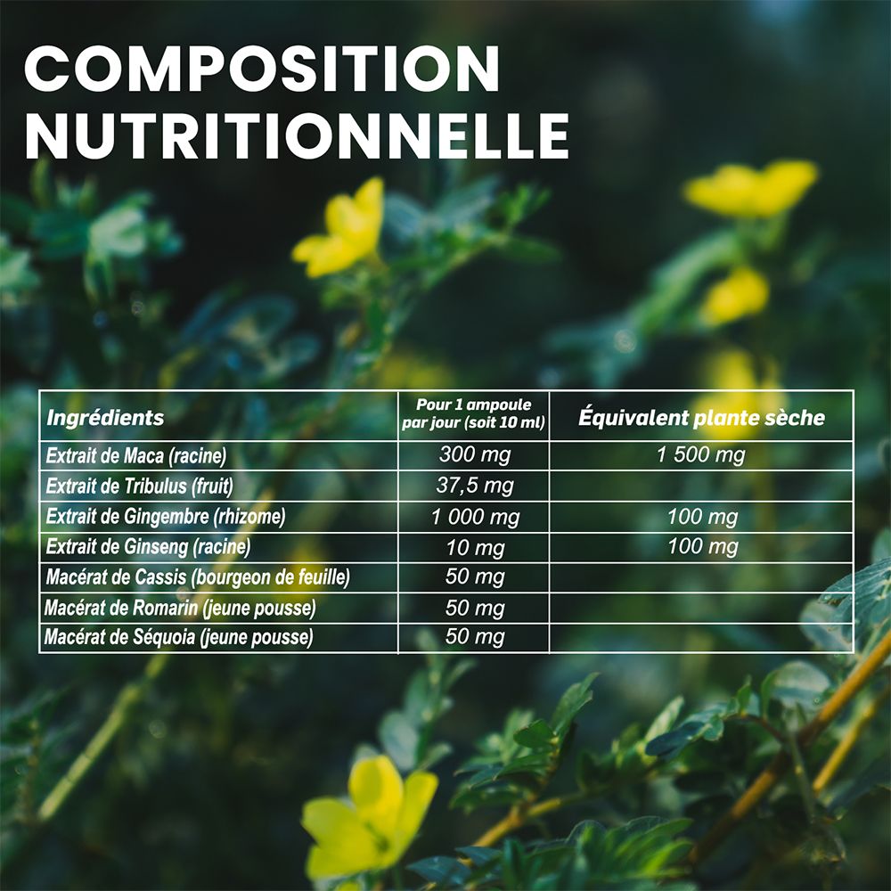 Tableau nutritionnel avec ingrédients : Maca, Tribulus, Gingembre, Ginseng, Cassis, Romarin, Séquoia. Texte en français.