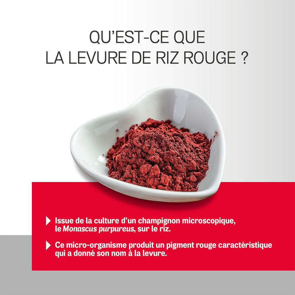 Bol de poudre rouge. Texte: Qu'est-ce que la levure de riz rouge? Source du champignon Monascus purpureus.