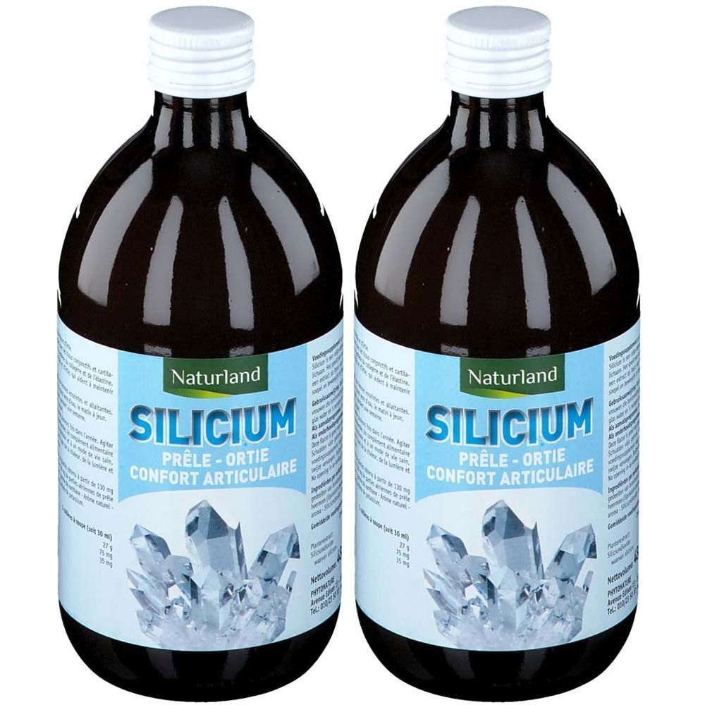 Zwei Flaschen mit brauner Flüssigkeit. Auf dem Etikett steht "SILICIUM" und "PRÊLE - ORTIE".