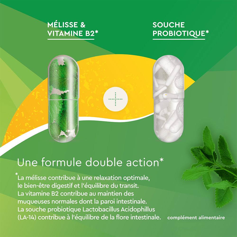 Deux gélules : une verte et une blanche. Inscription : Mélisse & vitamine B2, souche probiotique. Texte : Une formule double action.