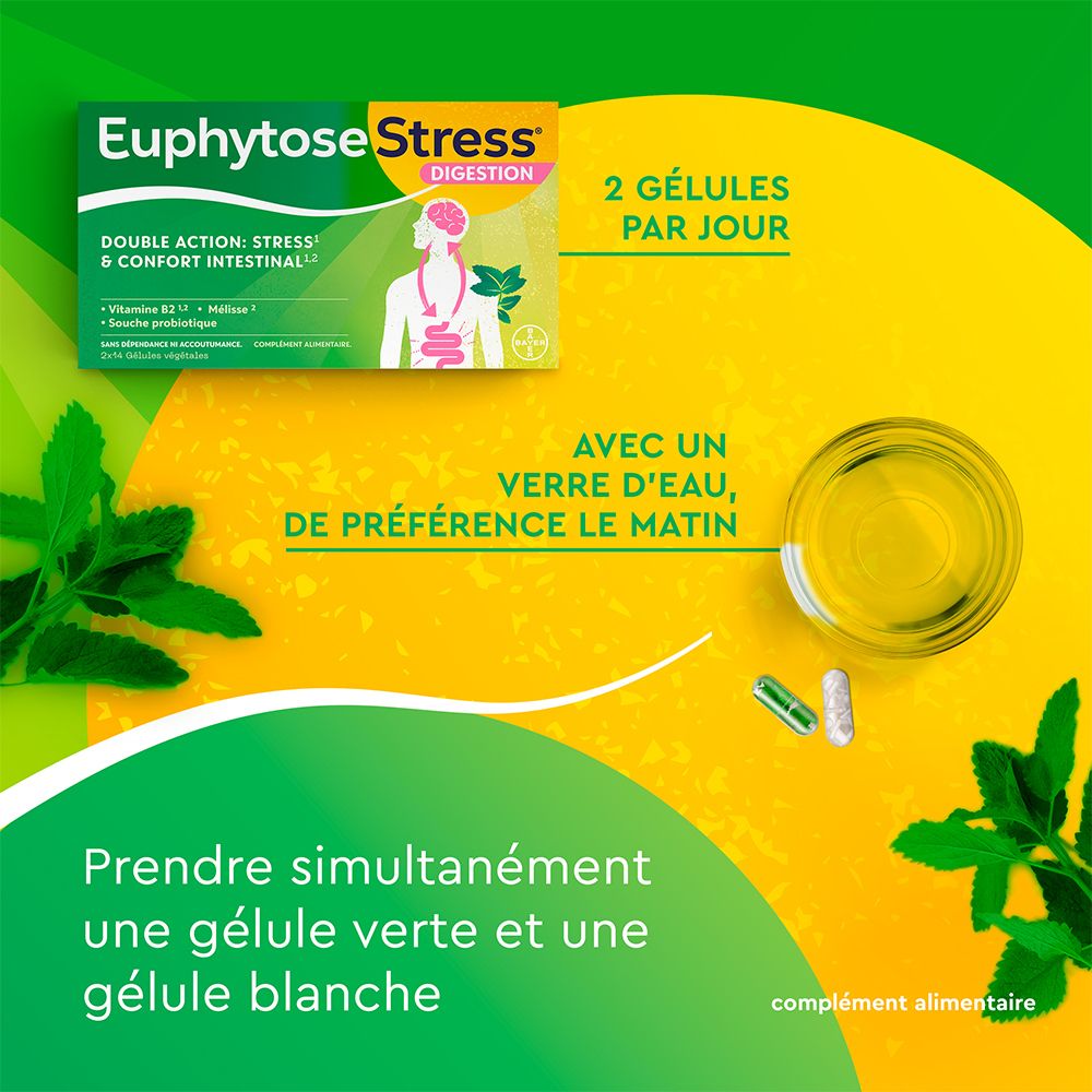 Boîte EuphytoseStress® Digestion. Texte : 2 gélules par jour. À prendre avec de l'eau, de préférence le matin. Gélule verte et blanche.