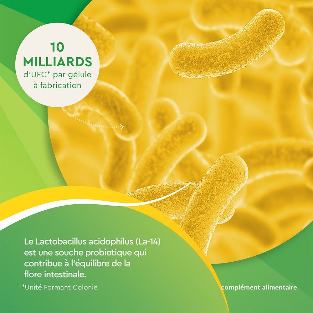 Image de bactéries. Texte : 10 milliards d'UFC par gélule. Lactobacillus acidophilus (La-14) contribue à l'équilibre de la flore intestinale.