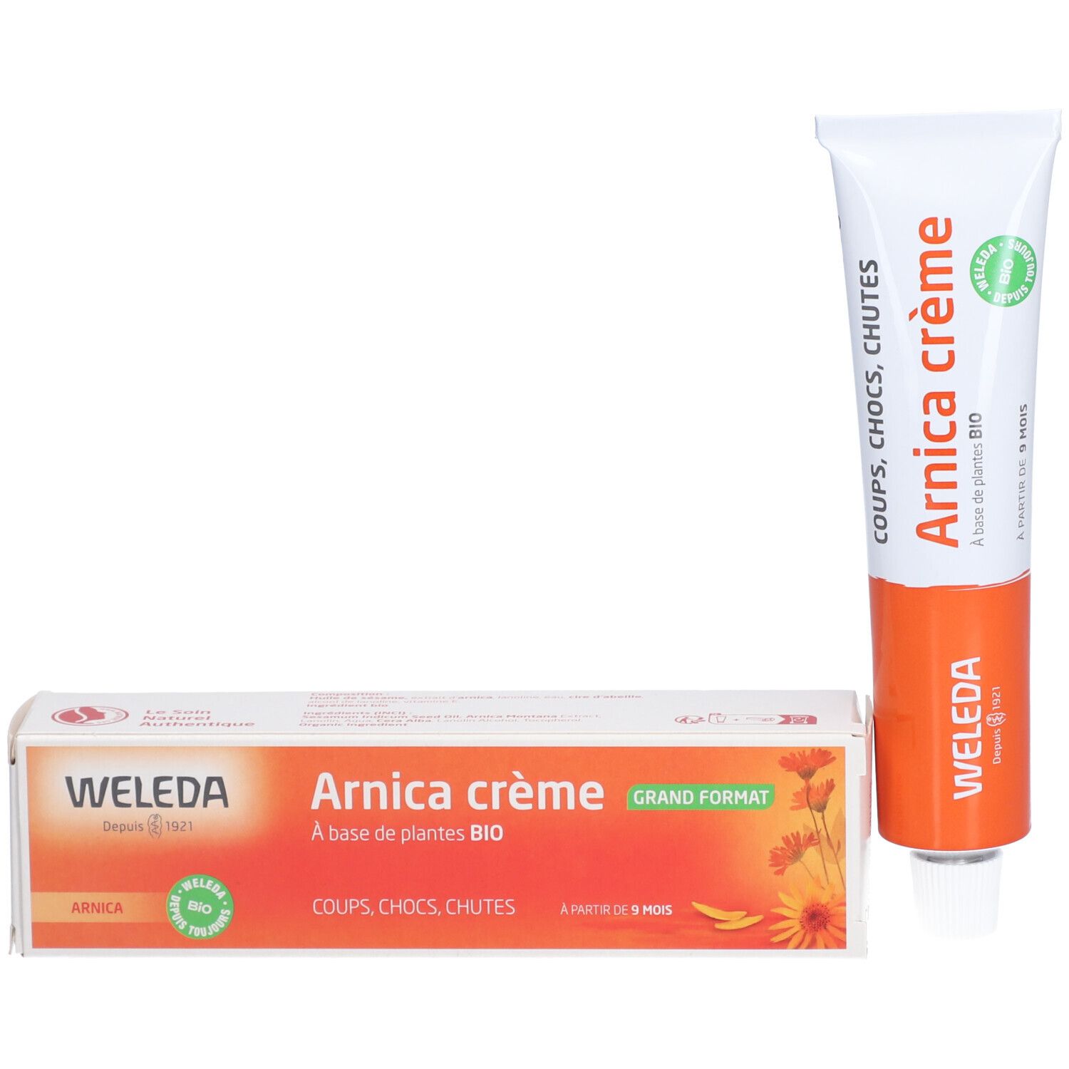 Tube und Schachtel. Aufschrift: Arnica crème, WELEDA. Grün-Siegel. Großformat.