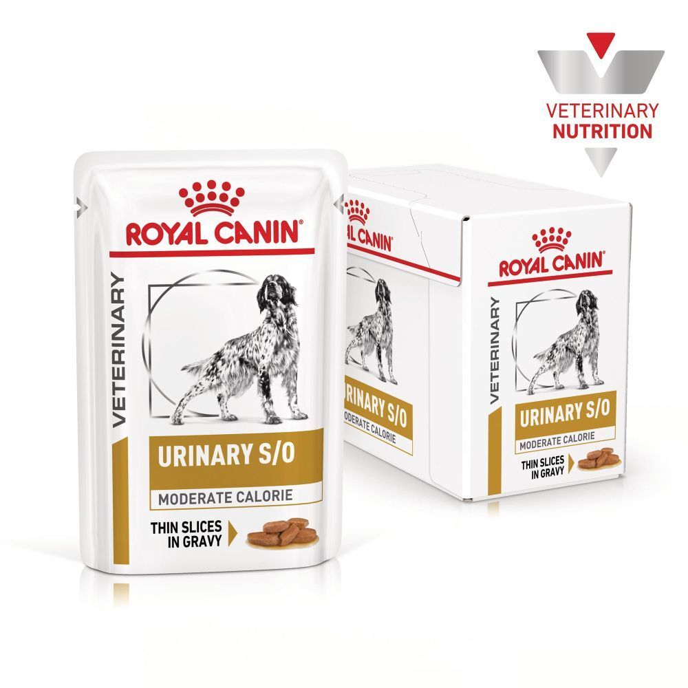 Royal Canin Urinary S/O Moderate Calorie Hundefutter in Soße. Packung und Karton mit Hundemotiv.