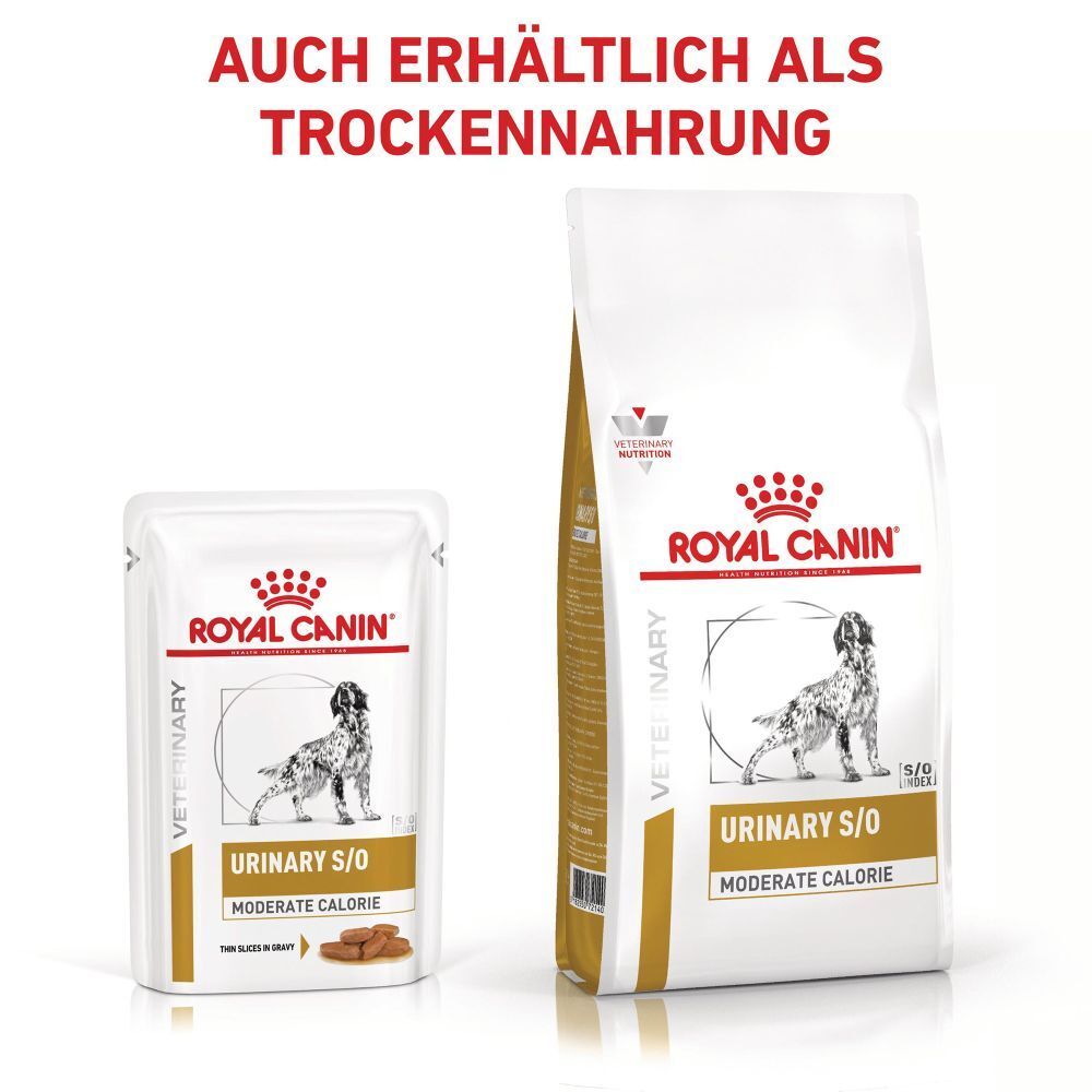 Royal Canin Urinary S/O Moderate Calorie Nass- und Trockenfutter für Hunde.