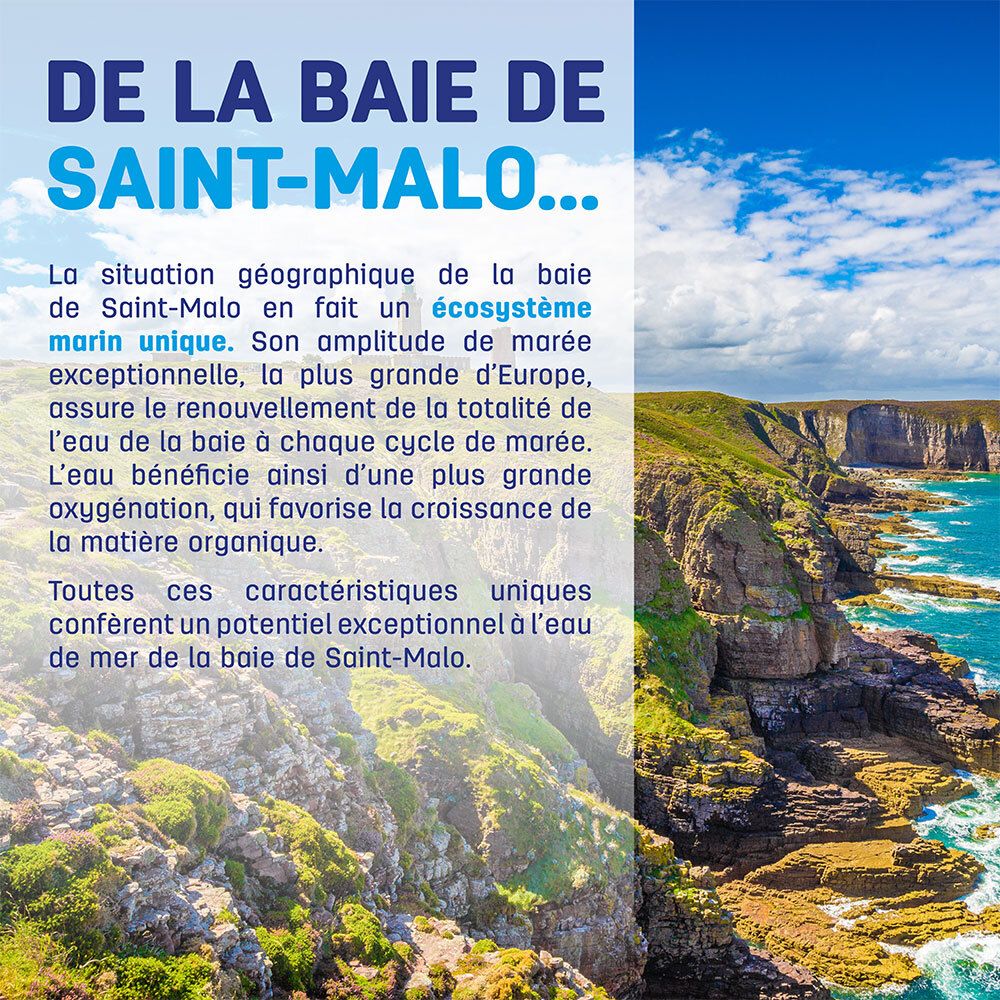 Paysage de la baie de Saint-Malo. Texte sur l'écosystème marin unique. Produit en Bretagne.
