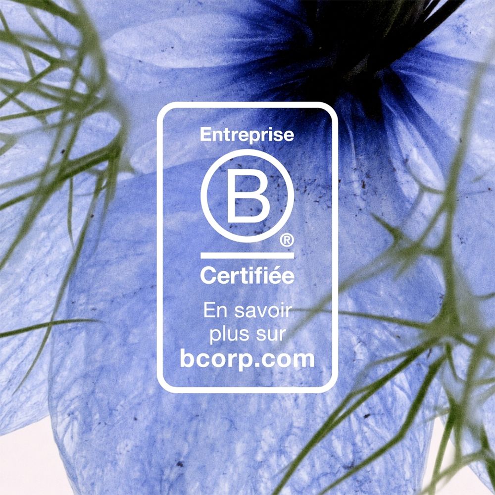 B Corp Zertifizierungslogo auf einer blauen Blume.