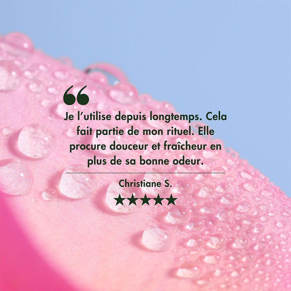 Nahaufnahme einer Rosenblüte mit Wassertropfen und einem Zitat über Melvita Rosenwasser.