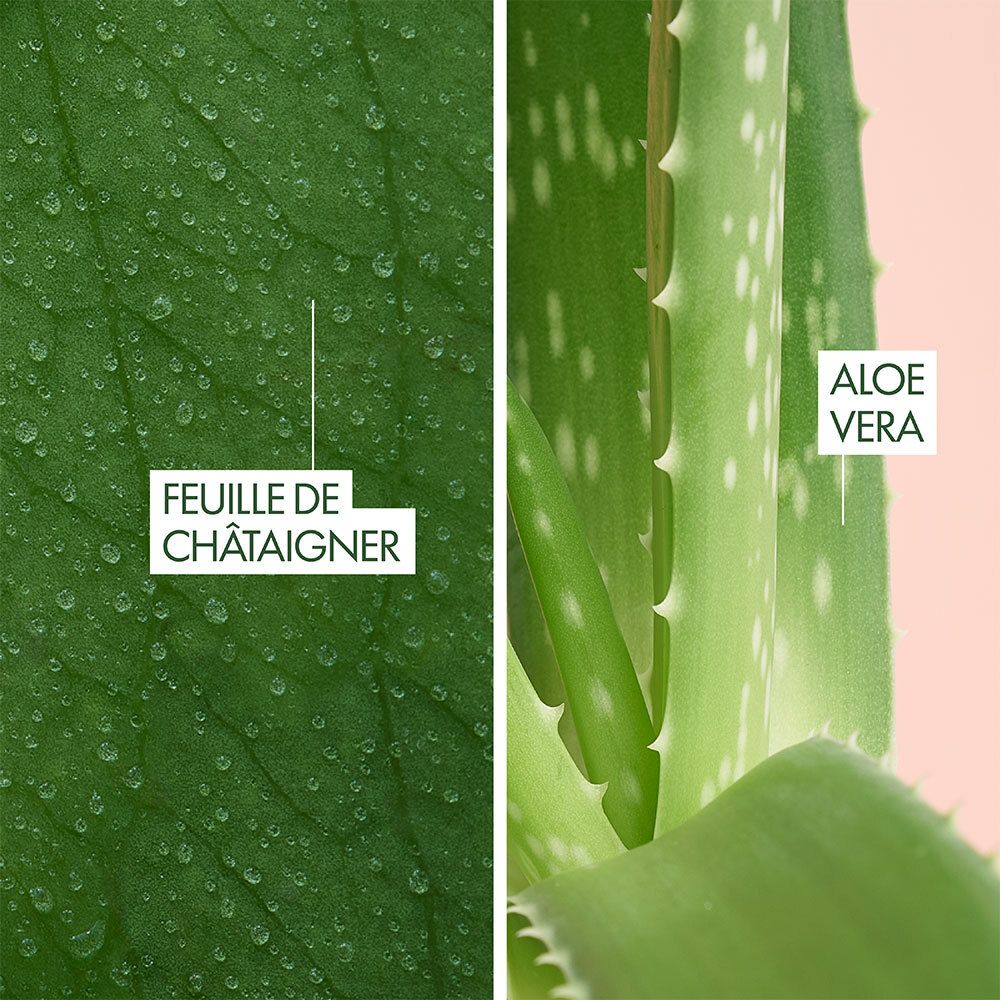 Nahaufnahme von Blättern. Links: Feulle de châtaigner. Rechts: Aloe Vera.