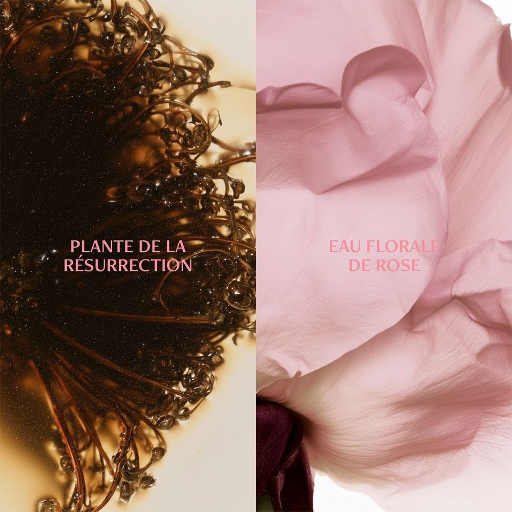 Eine Collage aus einer Pflanze und einer rosa Blütenblattstruktur.
