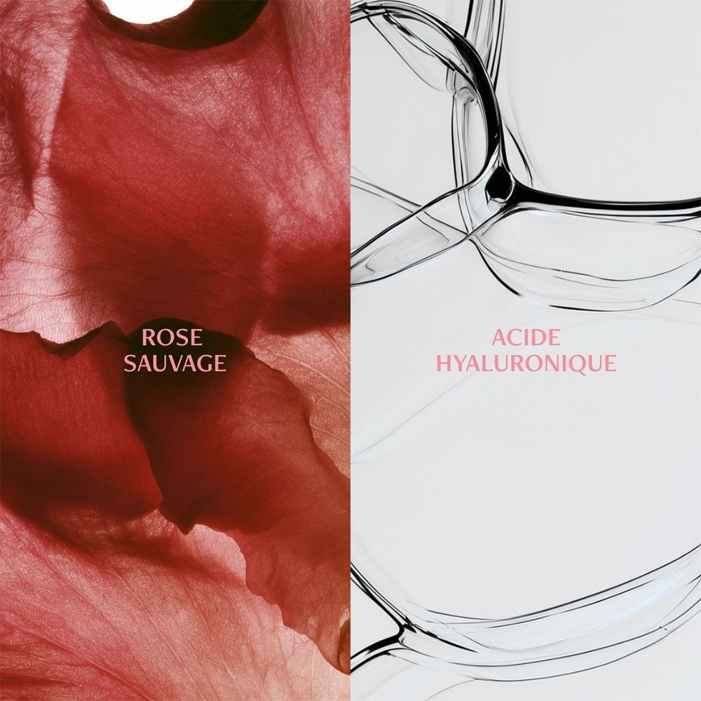 Inhaltsstoffe der Melvita Source de Roses Creme: Wildrose und Hyaluronsäure.