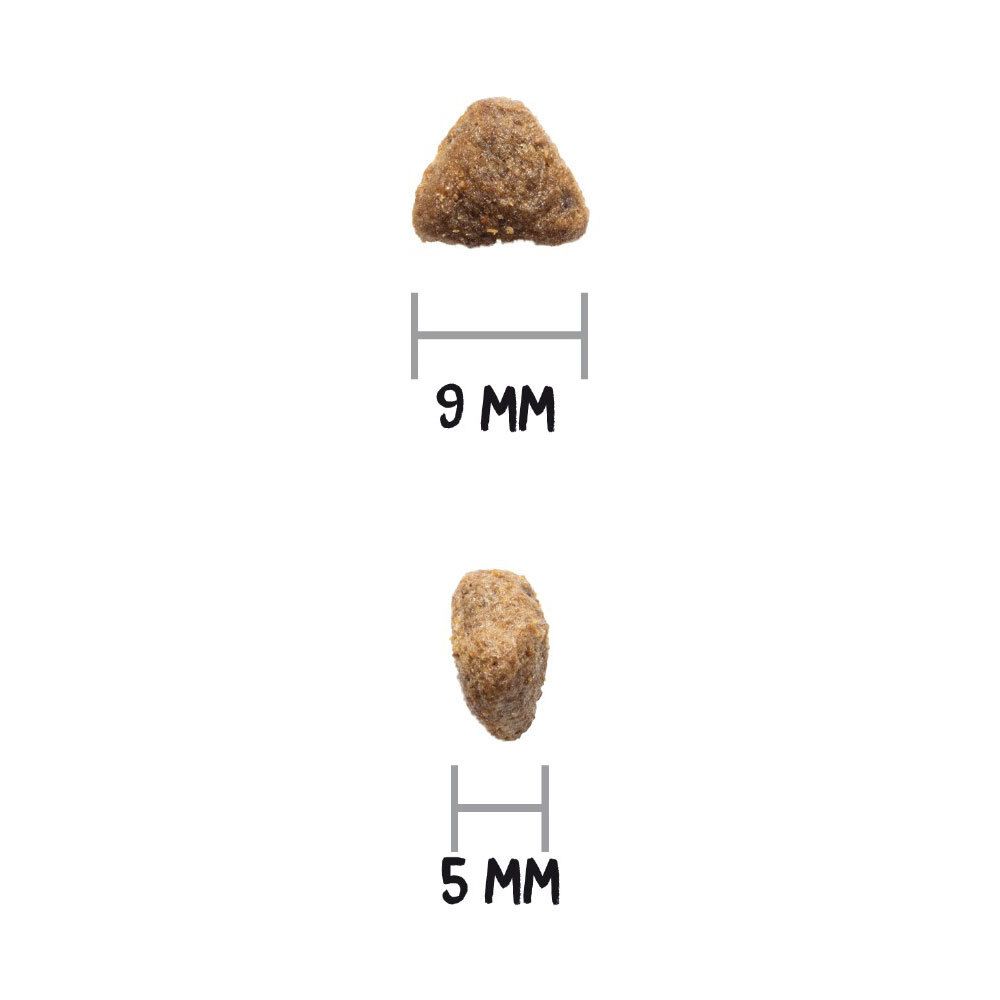 Deux croquettes. En haut: 9 mm. En bas: 5 mm. Sur fond blanc.