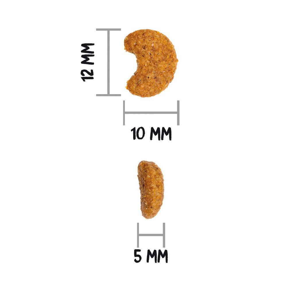 Deux croquettes. Dimensions : 12 mm de haut, 10 mm de large, 5 mm d'épaisseur. Forme brune en croissant.