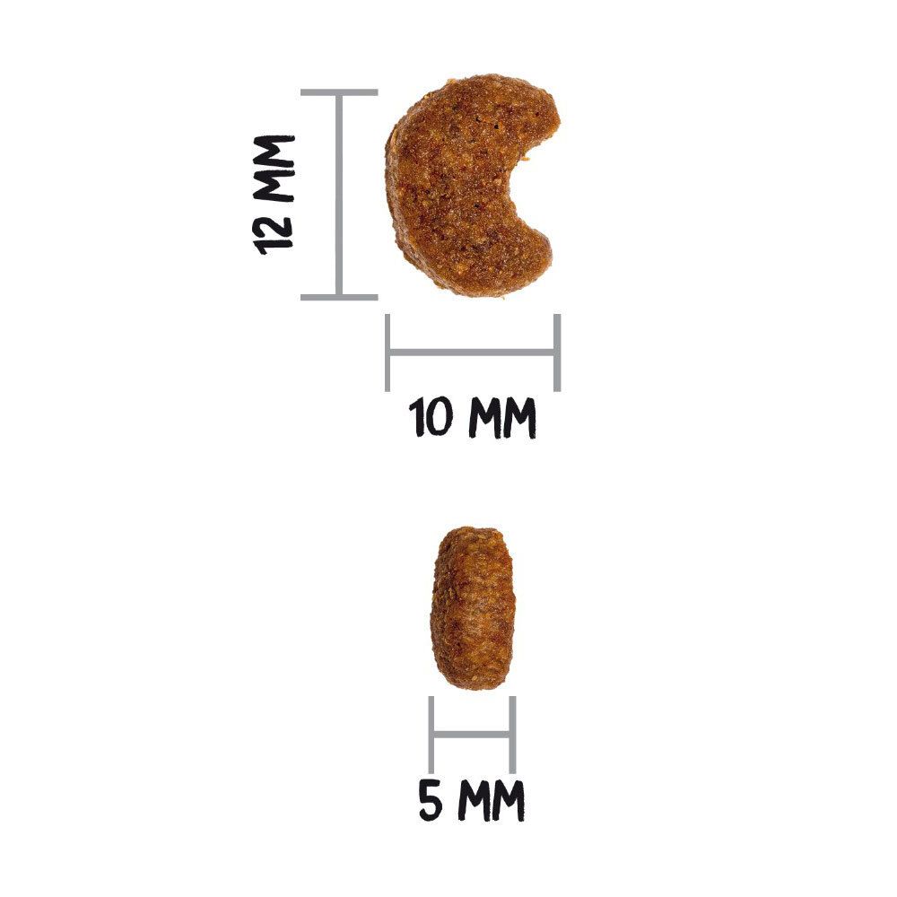 Gros plan sur deux croquettes sèches. Dimensions : 12 mm x 10 mm et 5 mm.