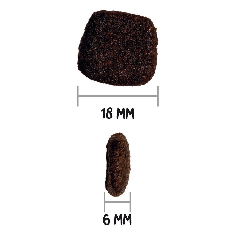 Gros plan d'une croquette pour chien. Dimensions : 18 mm x 6 mm. Couleur marron, forme irrégulière.