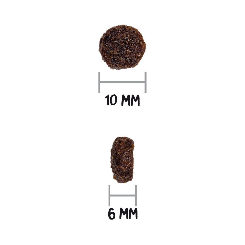 Deux croquettes pour chiens. En haut : 10 mm de diamètre. En bas : 6 mm de hauteur.