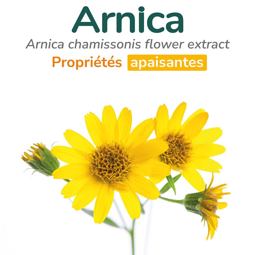Nahaufnahme von gelben Arnika-Blüten. Text: Arnika, Arnika chamissonis Blütenextrakt, beruhigende Eigenschaften.