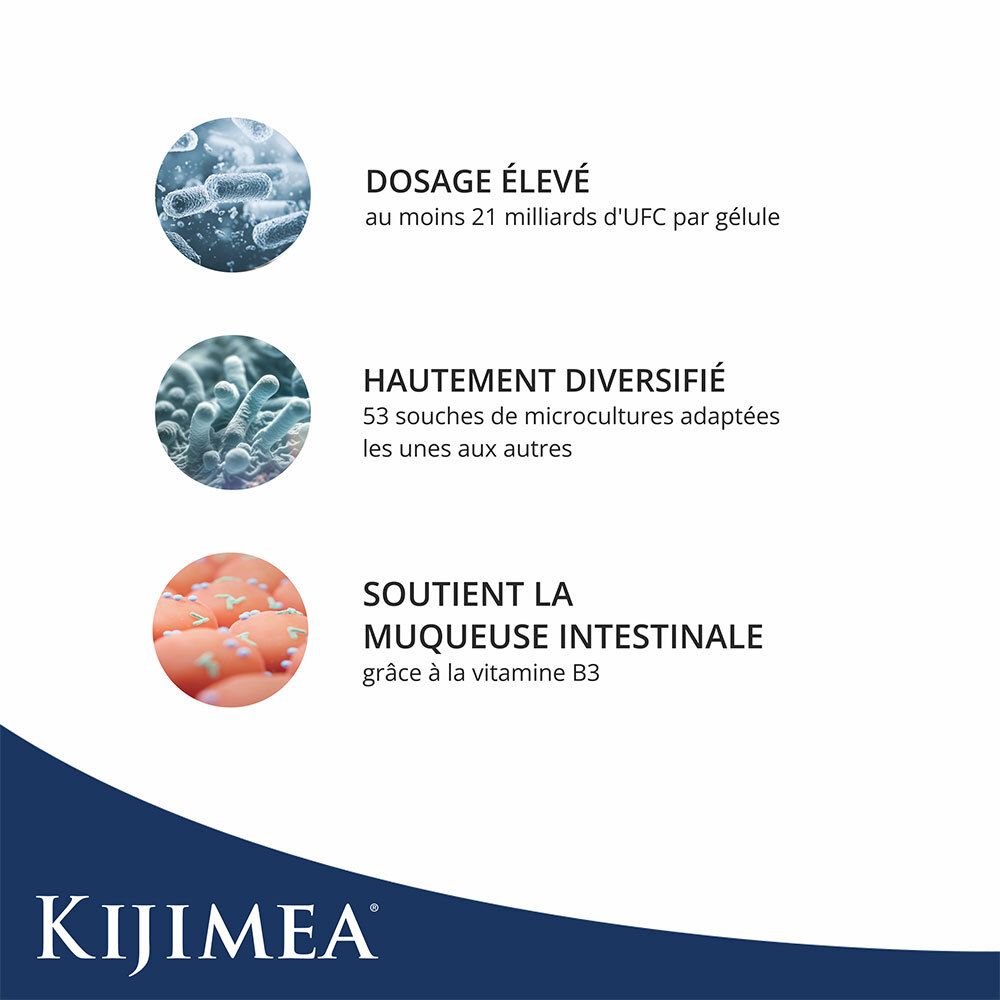 Graphique avec 3 cercles. Dosage élevé, au moins 21 milliards d'UFC par gélule. Hautement diversifié, 53 souches. Soutient l'intestin.