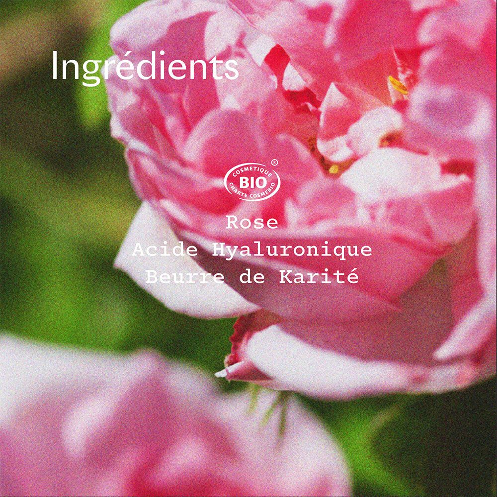 Gros plan sur des pétales de rose avec texte sur les ingrédients : Rose, Acide Hyaluronique, Beurre de Karité.