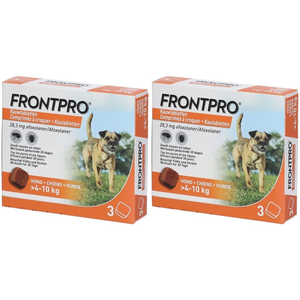 Deux boîtes de FRONTPRO comprimés à croquer pour chiens 4-10 kg. Emballage orange avec chien, nom et informations.