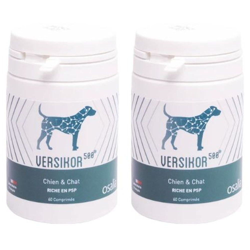 Deux flacons blancs avec couvercles. Inscription: Versikor 500, Chien & Chat, RICHE EN PSP, 60 Comprimés. Logo: chien.