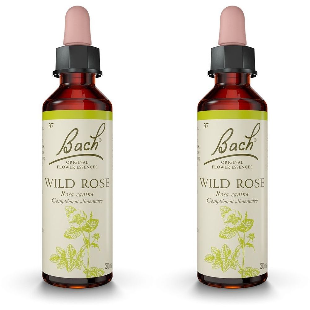 Original Bach®-Blüten Wild Rose Nr. 37