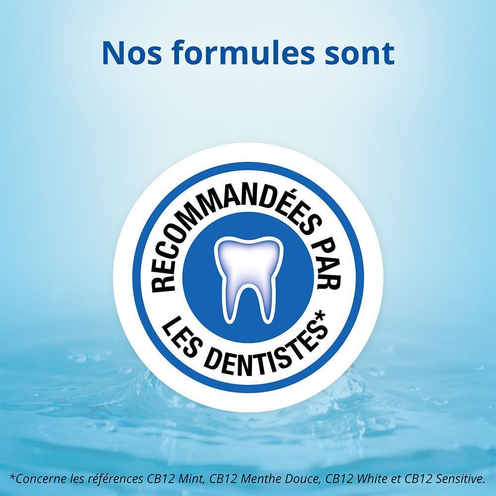 CB12 - Spray Buccal - Haleine Fraîche en toutes situations - Usage quotidien, sans alcool - Arôme menthe - Spray 15ml