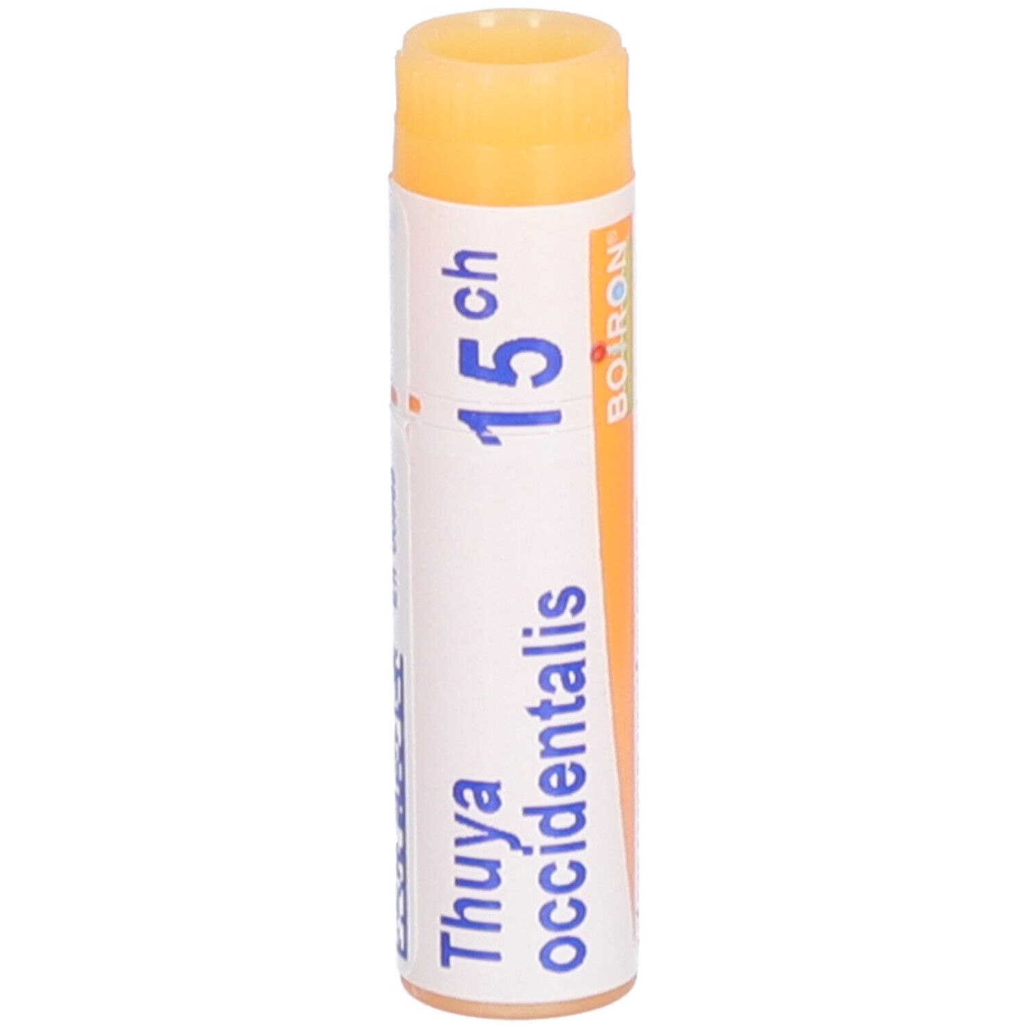 Thuya Occidentalis Boiron 15 CH dose