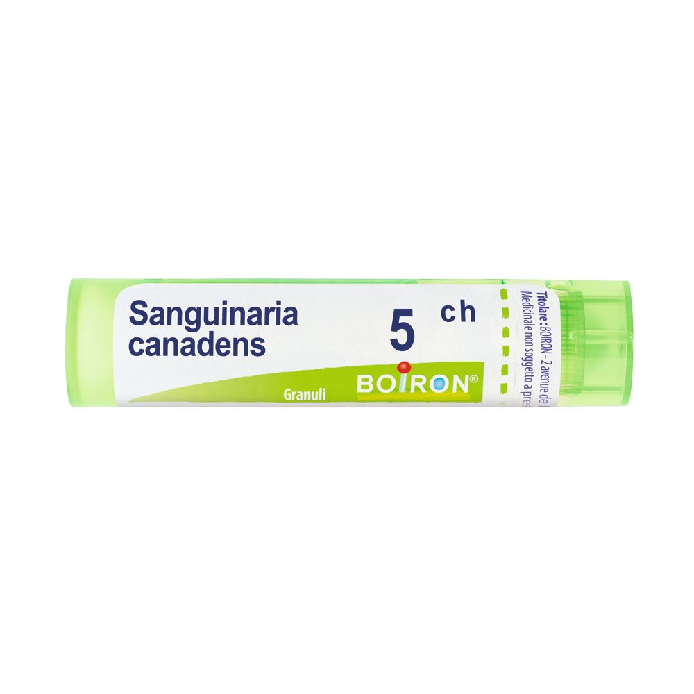Tubo verde con etichetta bianca. Scritta: Sanguinaria canadensis 5 ch, Granuli, BOIRON.