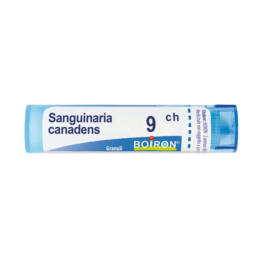 Tubo blu e bianco con nome prodotto e marchio BOIRON. Contiene granuli. Indicazione: Sanguinaria canadensis, 9 ch.