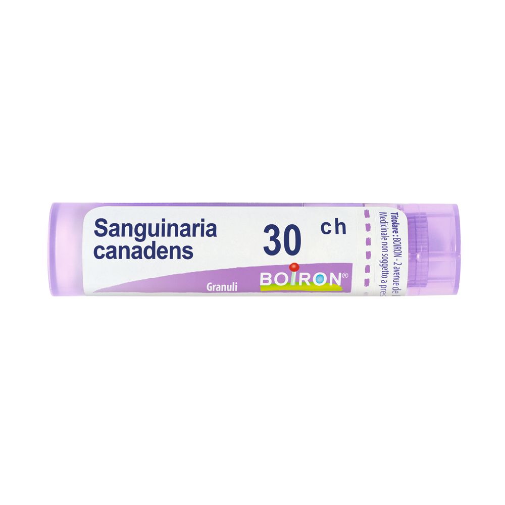Tubo cilindrico viola con testo bianco. Contiene granuli. Scritta: Sanguinaria canadensis 30 ch, Boiron.