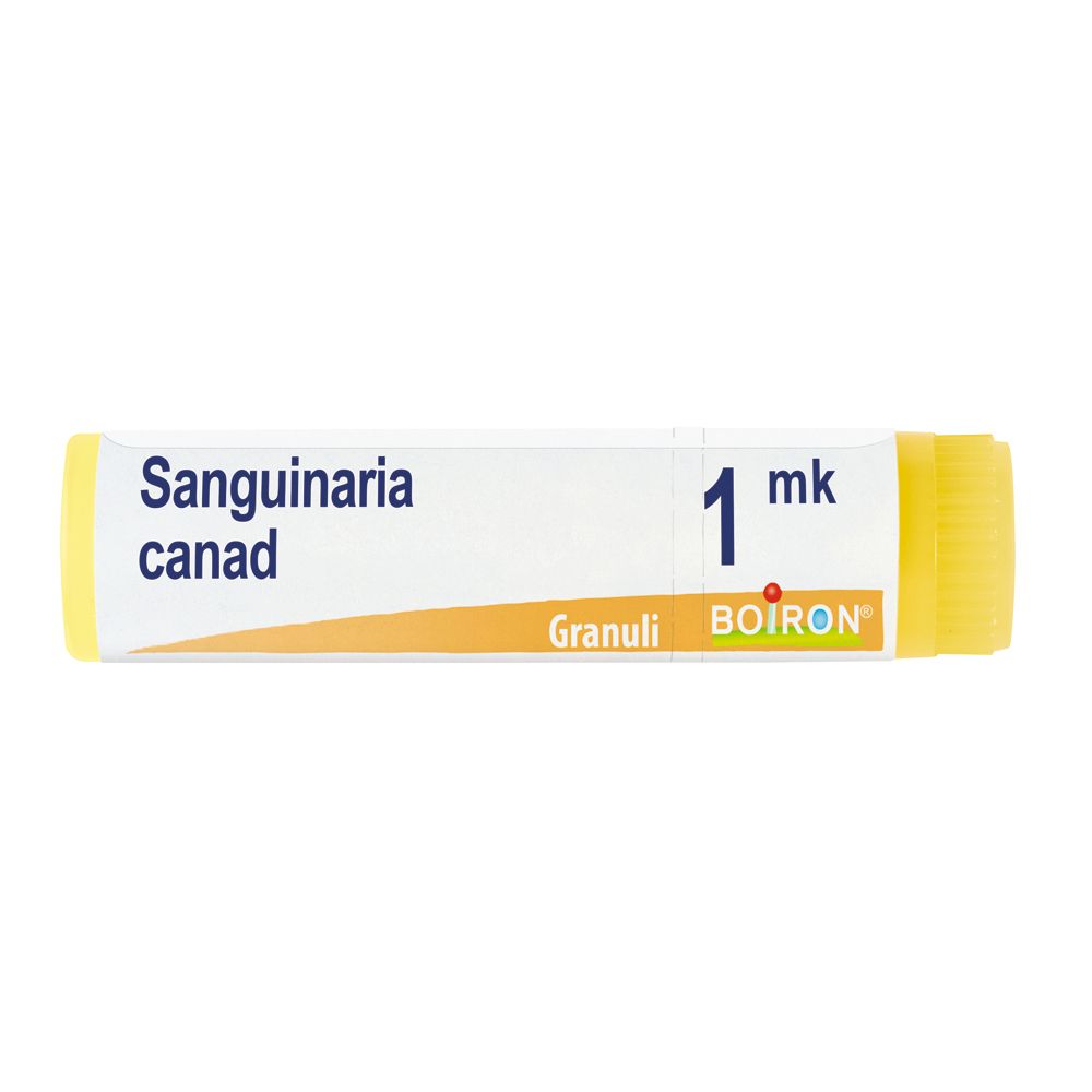 Confezione cilindrica con estremità gialle. Scritta: Sanguinaria canad, 1 mk, Granuli, Boiron.