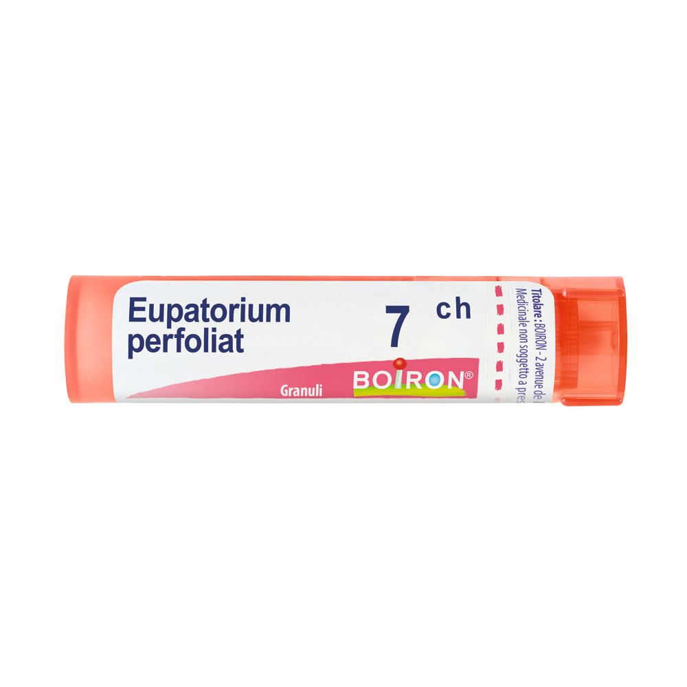 Confezione cilindrica con scritta Eupatorium perfoliatum 7 ch e logo Boiron. Granuli.