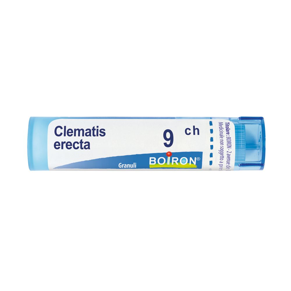 Tubo blu cilindrico con etichetta bianca. Scritta: Clematis erecta, 9 ch, BOIRON. Granuli.