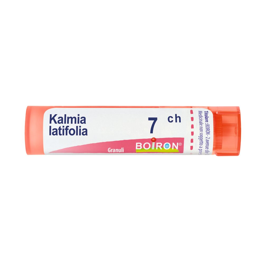 Confezione cilindrica con tappo rosa ed etichetta. Scritta: Kalmia latifolia 7 ch, BOIRON. Granuli.