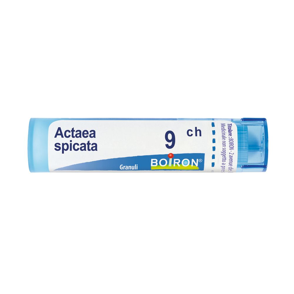 Confezione cilindrica blu e bianca con scritta Actaea spicata 9 ch e logo BOIRON.