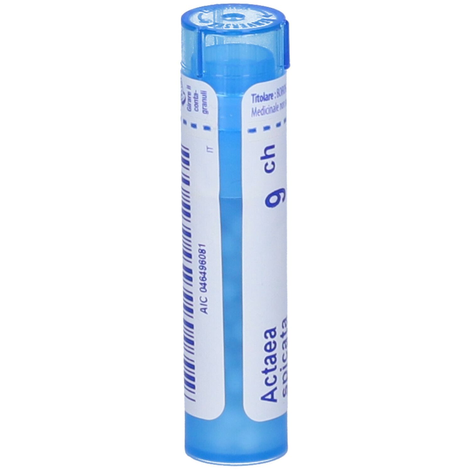 Confezione cilindrica blu con etichetta bianca. Scritta Actaea spicata 9 ch e codice a barre.