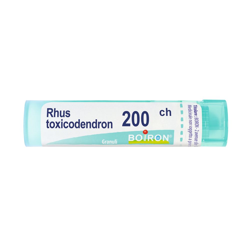 Rhus Toxicodendron*200Ch 80Gr