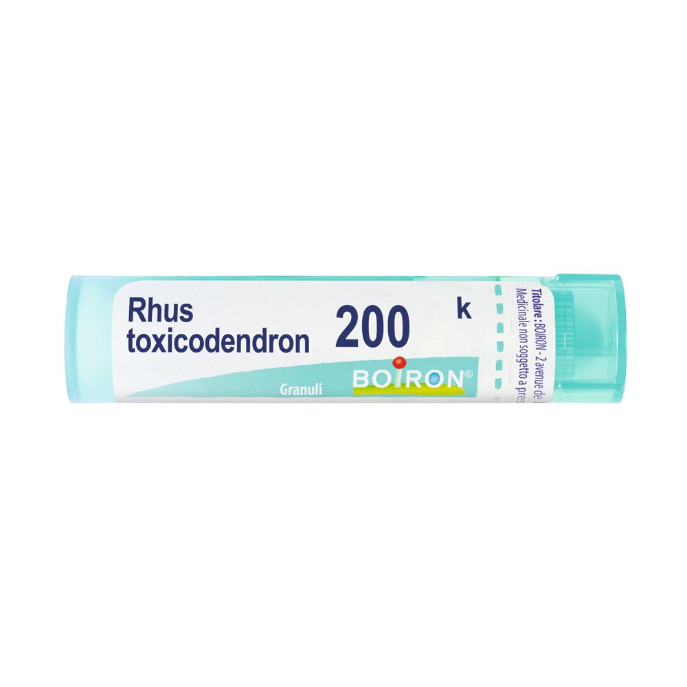 Rhus Toxicodendron*200K 80Gr4G
