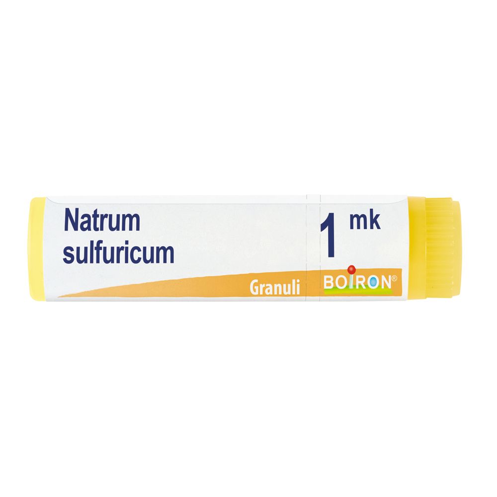 Natrum Sulfuricum*1000K Gl 1G