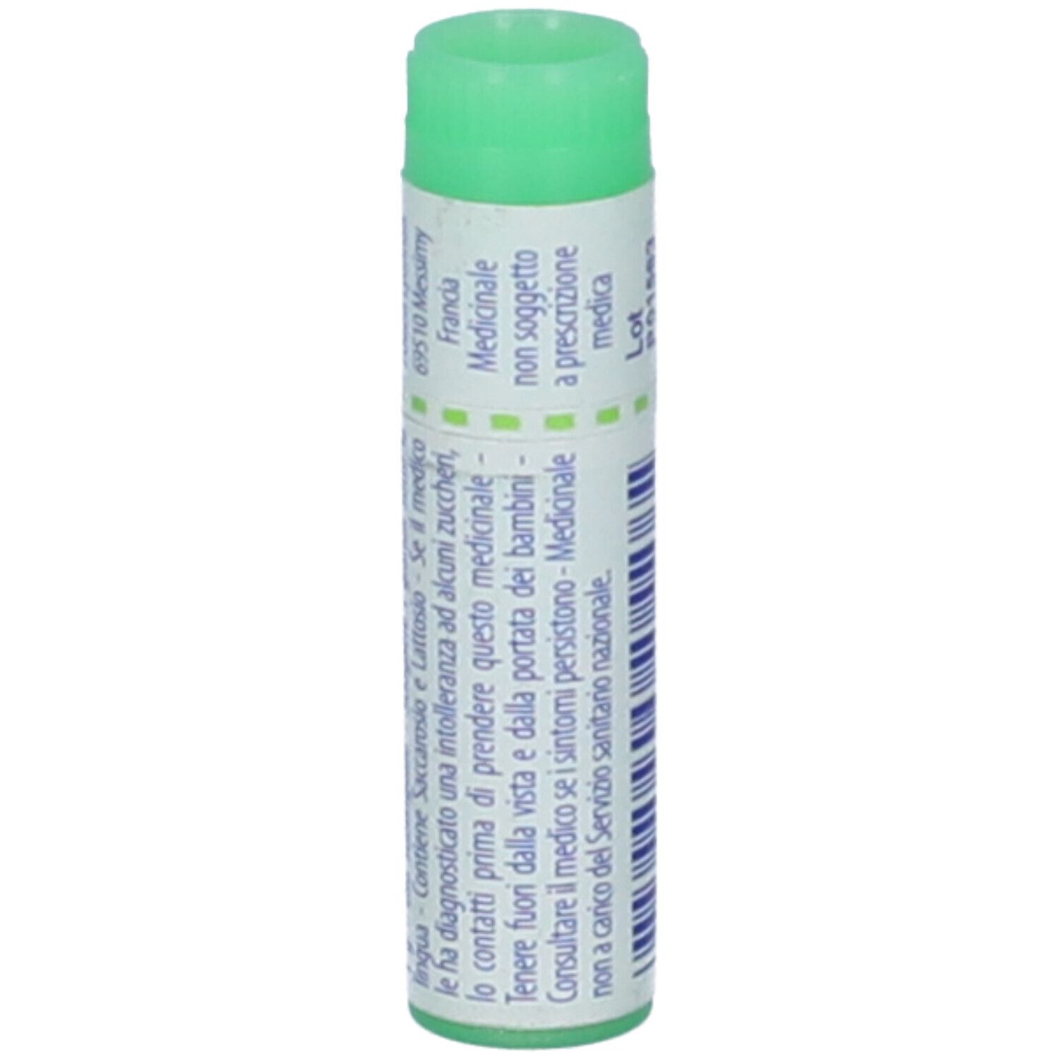 Confezione cilindrica con tappo verde. Scritta: Ferrum metallicum, 200 ch, BOIRON. Scadenza 09/2027. Codice a barre.