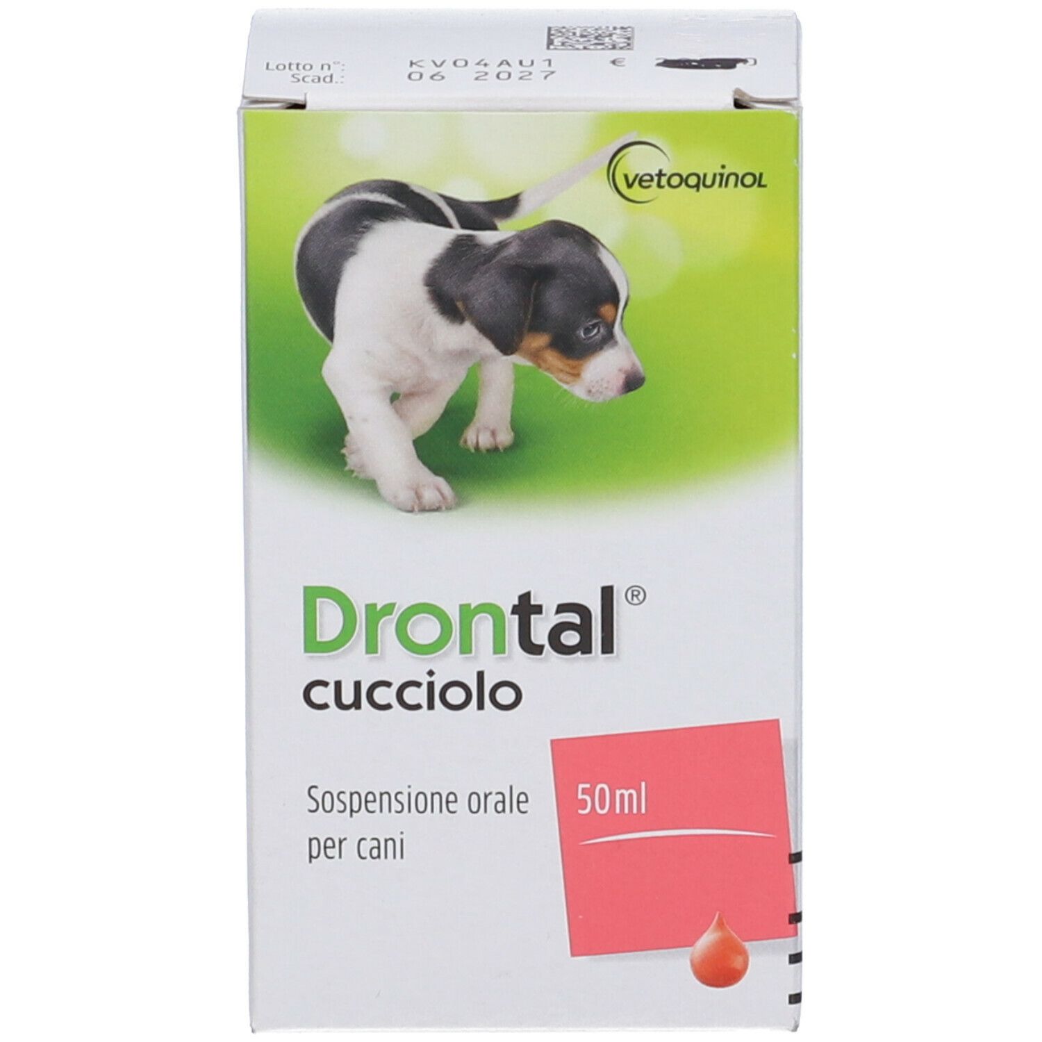 Confezione in cartone. Scritta: Drontal cucciolo, Sospensione orale per cani. Immagine di un cucciolo.